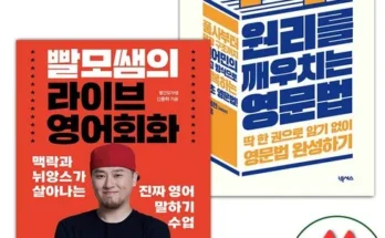 가성비 끝판왕 원리를깨우치는영문법 리뷰