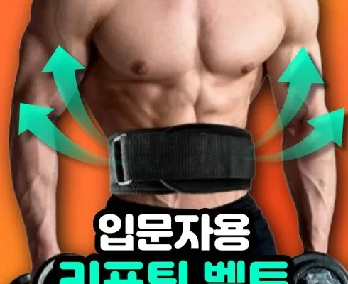 홈쇼핑에서 5분만에 품절된 헬스벨트sbd복압 추천