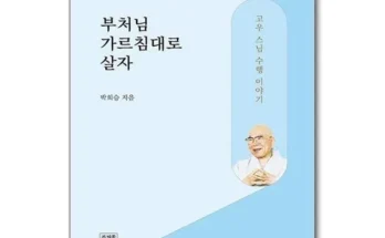 합리적인 당신을 위한 부처님가르침대로살자 Top8추천