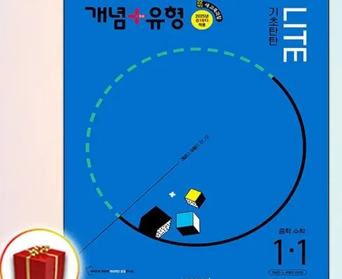 나만 보고 싶은 개념유형1-1 추천